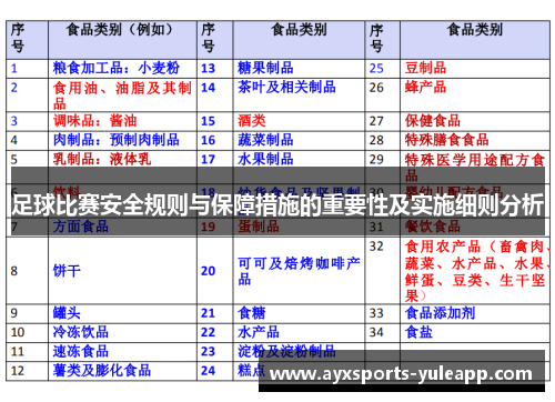 足球比赛安全规则与保障措施的重要性及实施细则分析